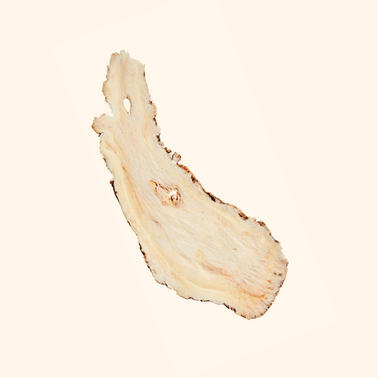 Angelica Root (Dang Gui)