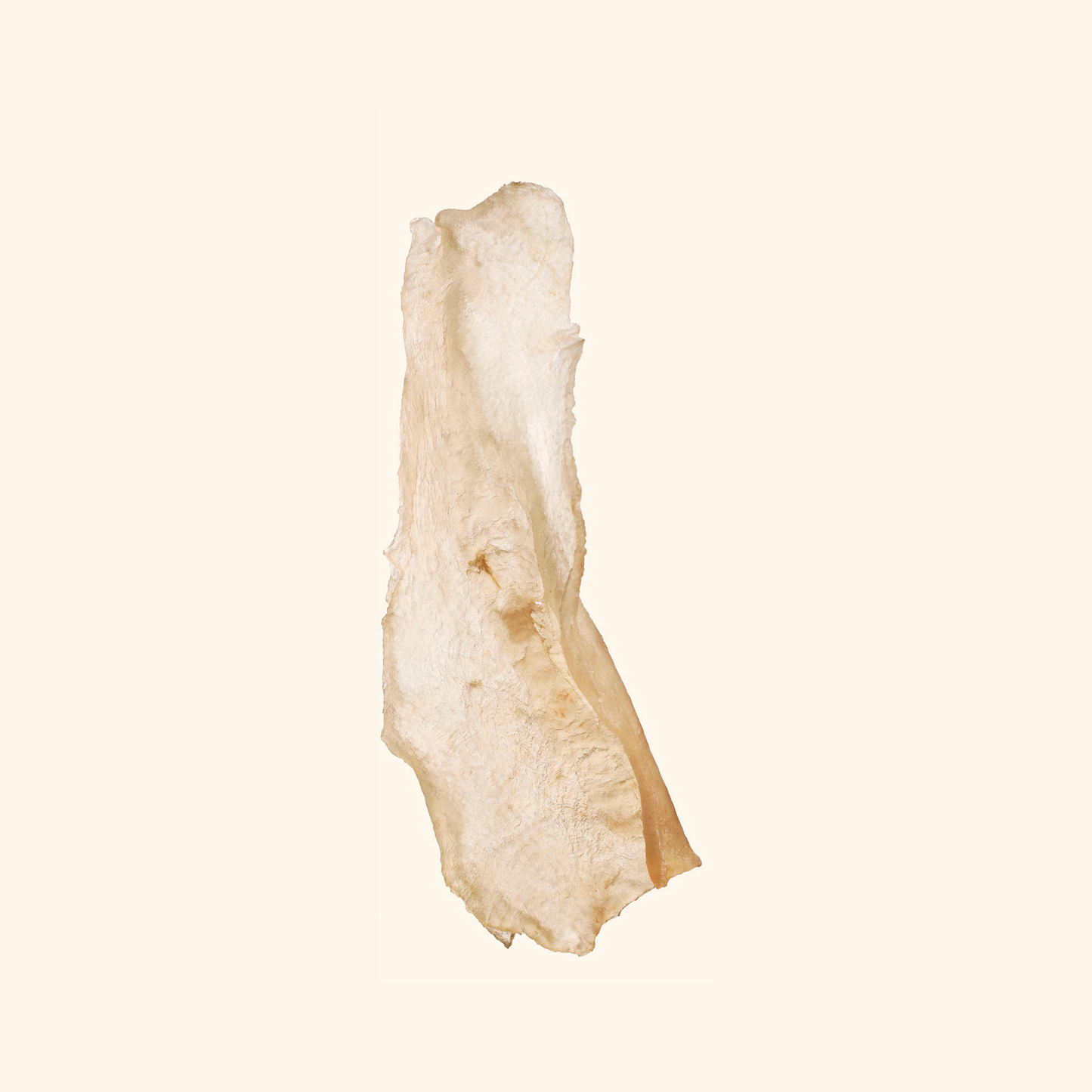 Fish Maw