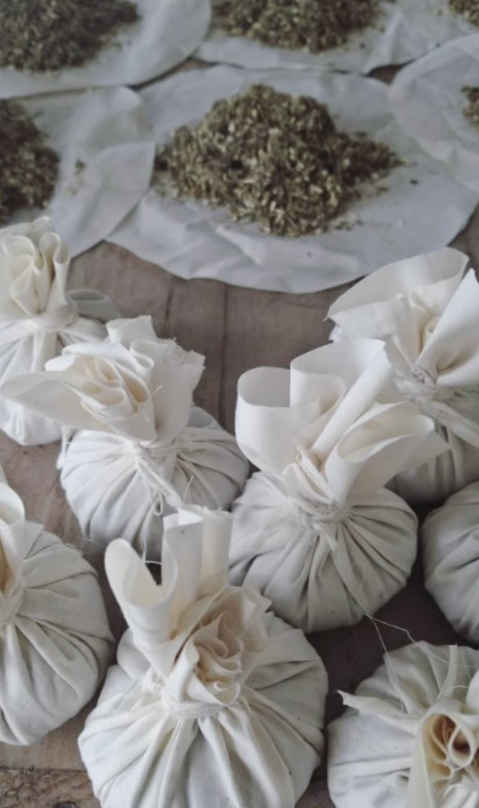 Traditional Mugwort Herbal Compress- Gentle Traditions X The Herborium