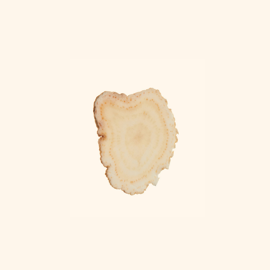 American Ginseng