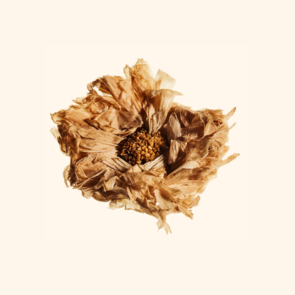 "Chinese Baddie" Staples Bundle