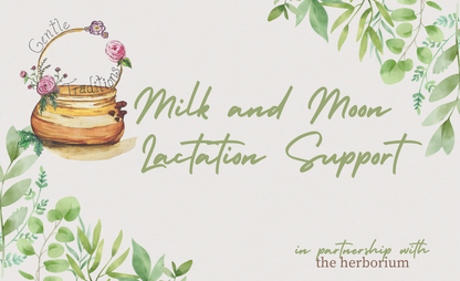 Milk and Moon Lactation Support Herbal Tea - Gentle Traditions X The Herborium