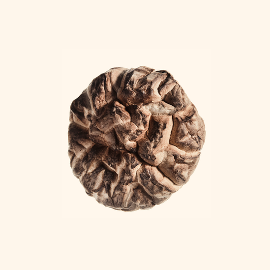 Shiitake Mushrooms