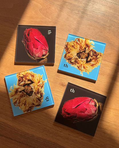 The Merry Mama Bundle