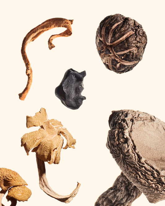 Mushroom Medley