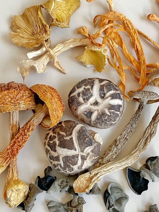 herbal STAPLE "mushroom medley"