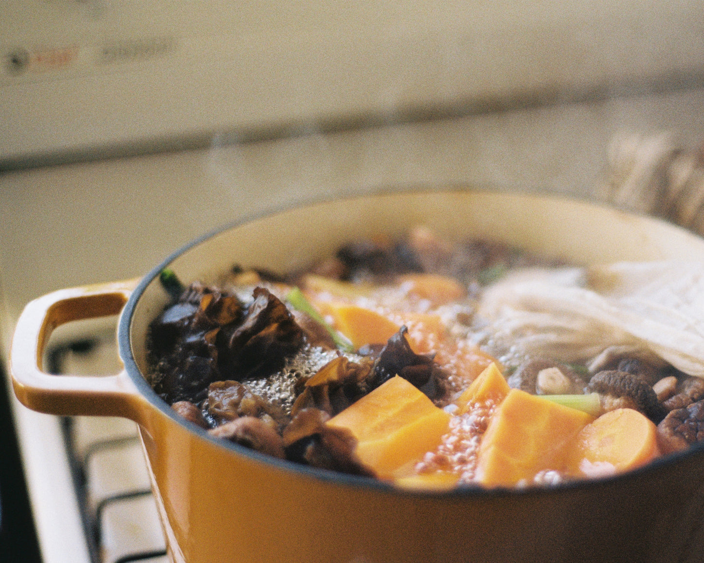 Pot of chicken herbal soup. Image 3